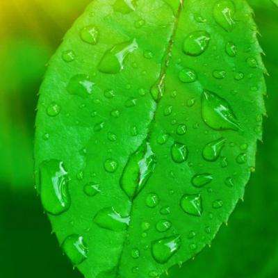 万博全站ManBetX官网